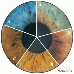 ایریدولوژی چیست