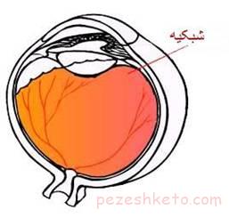 مواد غذایی مناسب برای سلامت چشم