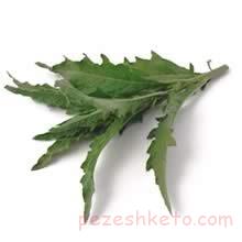 Dysphania ambrosioides‎