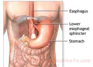 گاستروپارزی چیست