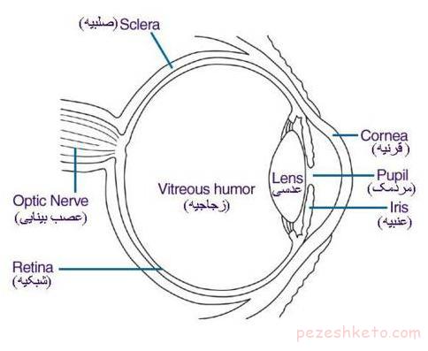 خراشیدگی قرنیه یا زخم قرنیه چیست