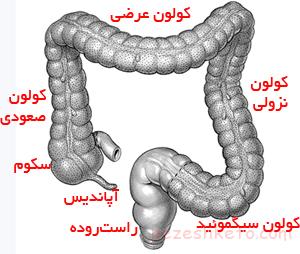 اطلاعاتی درباره روده تحریک پذیر