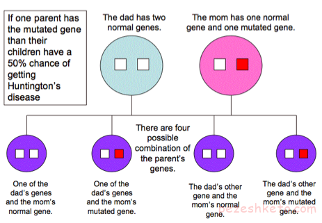 هانتینگتون چیست