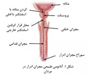 pic1-usmen