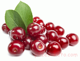 خواص آلبالو