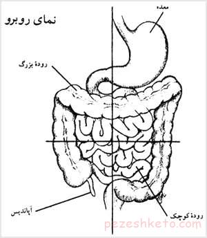 نشانه های عفونت آپاندیس در کودکان