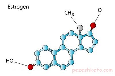استروژن