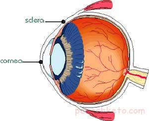 التهاب‌ عنبیه‌