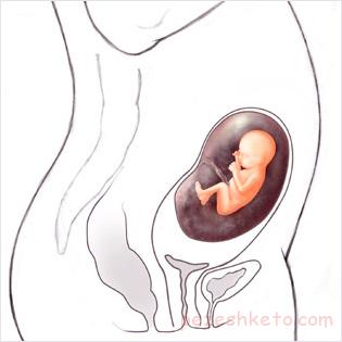 آیا مسافرت برای خانمهای باردار خطرناک است