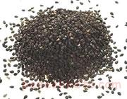 بارهنگ دانه