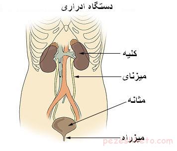 علل بی اختیاری ادرار چیست
