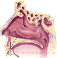گرفتگی بینی