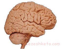 عوامل تخریب مغز