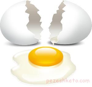 تخم پرندگان