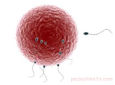 تخمک آسیب دیده