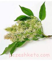 خواص ترنگبین