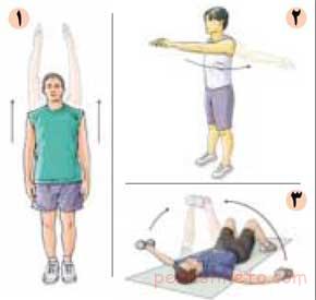 حرکات مناسب برای تقویت شانه ها