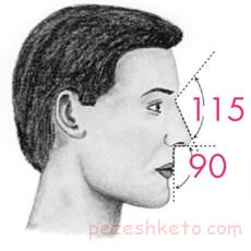 نکاتی برای یافتن جراح بینی