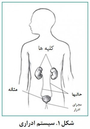 وجود خون در ادرار