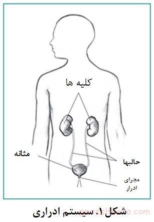 وجود خون در ادرار