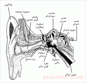 درد گوش بر اثر فشار