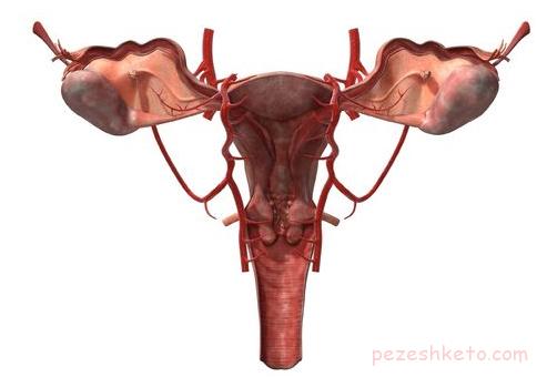 بیرون زدگی رحم چیست