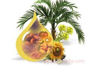 روغن پالم چیست