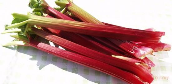 آشنایی با خواص ریواس