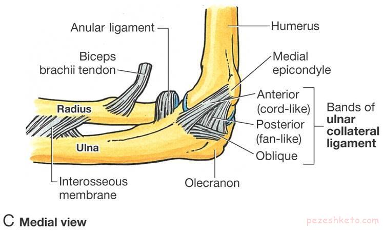 شکستگی زائده اوله کرانون در ناحیه آرنج