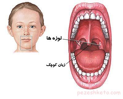 اطلاعاتی درباره زبان کوچک
