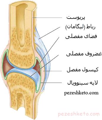 ساختمان مفصل