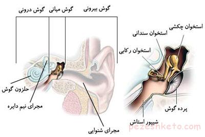 علایم سرطان گوش