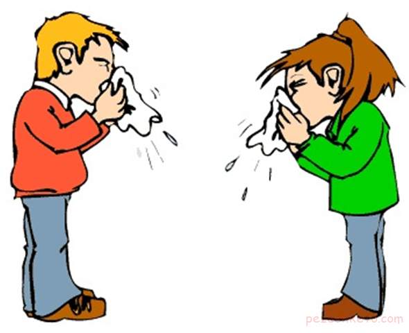 سرما خوردگی