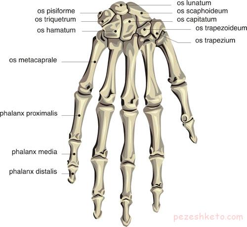 سندرم تکانشی دست چیست