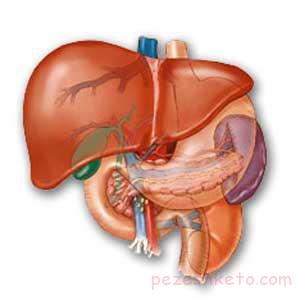 انواع سنگ کیسه صفرا