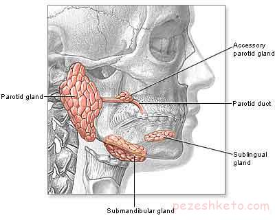 اطلاعاتی درباره سنگ غدد بزاقی