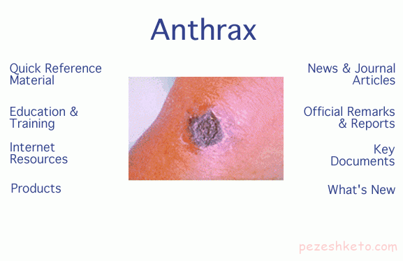 سیاه زخم چیست