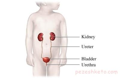 شب ادراری در کودکان چیست