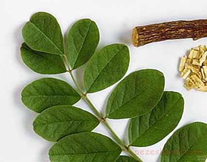 خواص شیرین بیان چیست