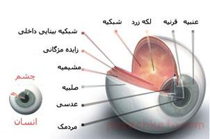 اطلاعاتی درباره عفونت قرنیه