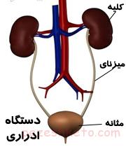 علل عفونت مثانه چیست