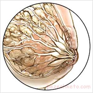 عفونت پستان چیست