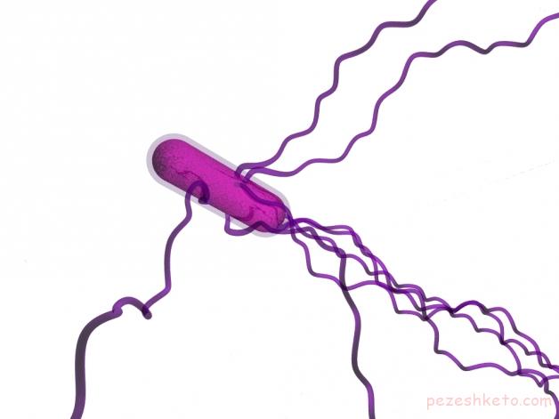 مونونوکلئوز