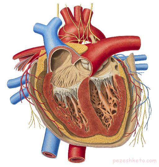 مراقبتهای لازم بعد از جراحی باز قلب