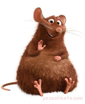 بیماریهایی که از موش منتقل می شود