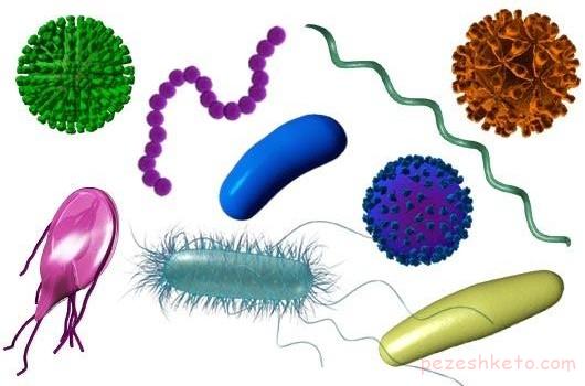 روبوسی و انتقال بیماری