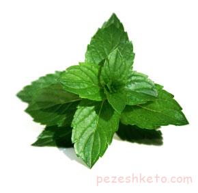 خواص نعناع چیست