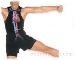 ورزشهای مفید برای قلب