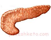 سرطان پانکراس چیست