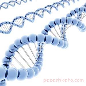 اطلاعاتی درباره ژن mTor